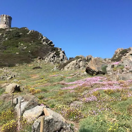 Claude Et Marie-france Lägenhet Alata