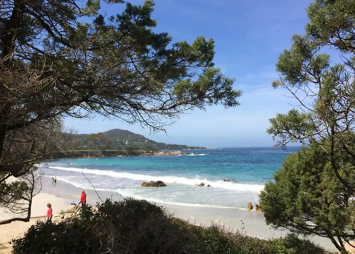 Appartement Claude Et Marie-france Alata