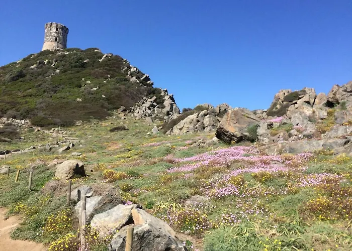 Claude Et Marie-france Appartement Alata